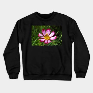 Bee on a Flower Crewneck Sweatshirt